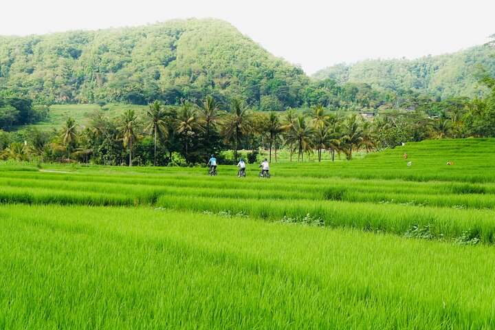 For history in the old streets: the Mataram capital and its silver