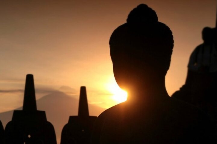 Top-rated tour experience