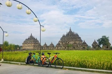 Village cycling through rice fields near Yogyakarta
